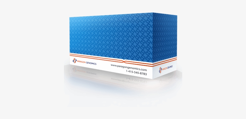 Cleanplex® Brca1 & Brca2 Panel - Paragon Genomics, Inc, transparent png download
