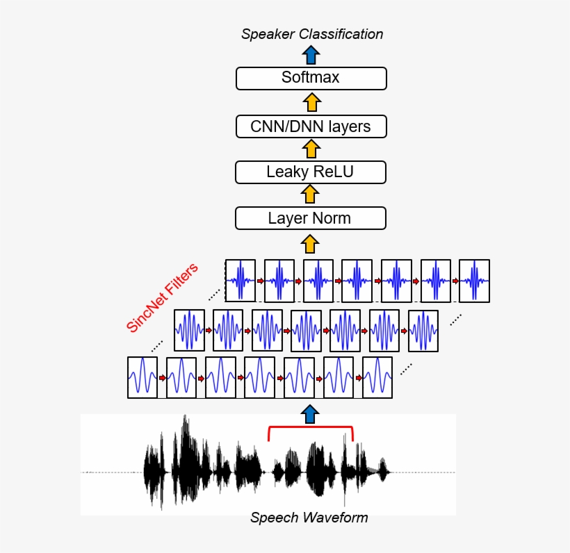 It's About Sincnet, A Neural Architecture For Processing - Diagram, transparent png download