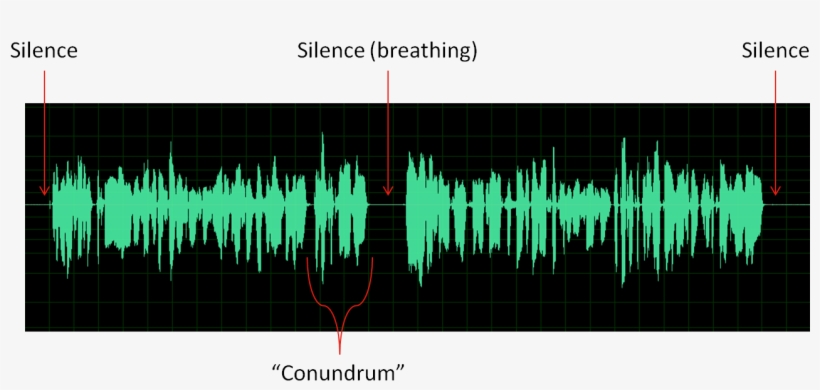 During This Meeting, I Provided Details About How I - Lodgepole Pine, transparent png download