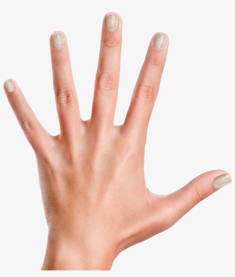 Glass Slippers - Piggy Paint Girls Rule, transparent png download