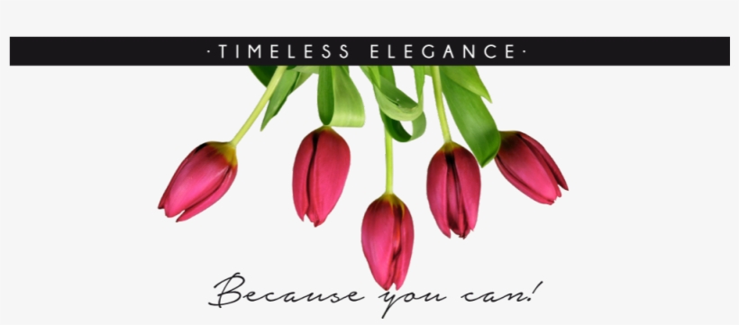 Website-banner - Web Banner, transparent png download