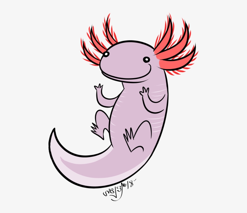 Axolotl Clipart Tumblr Transparent - Axolotl, transparent png download