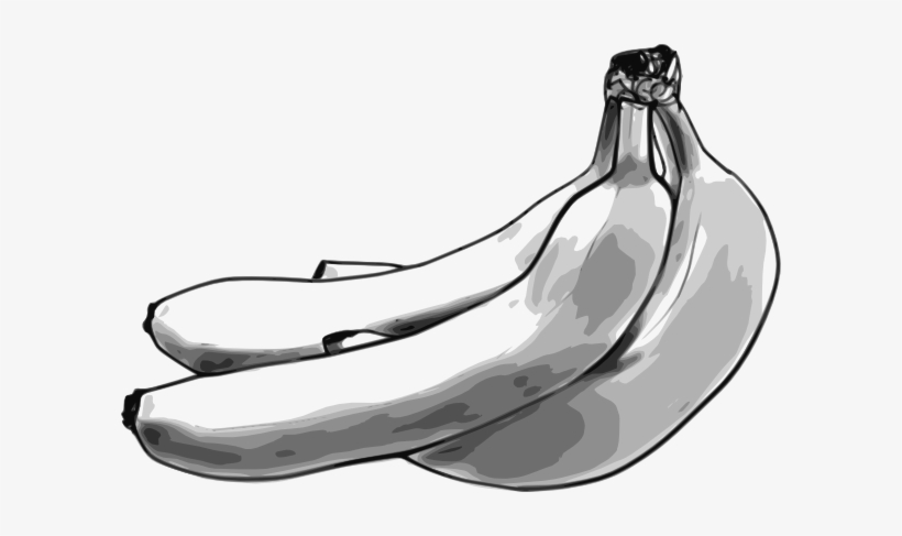 This Free Clipart Png Design Of Banana Bunch Clipart - Bananas Sketch Shower Curtain, transparent png download