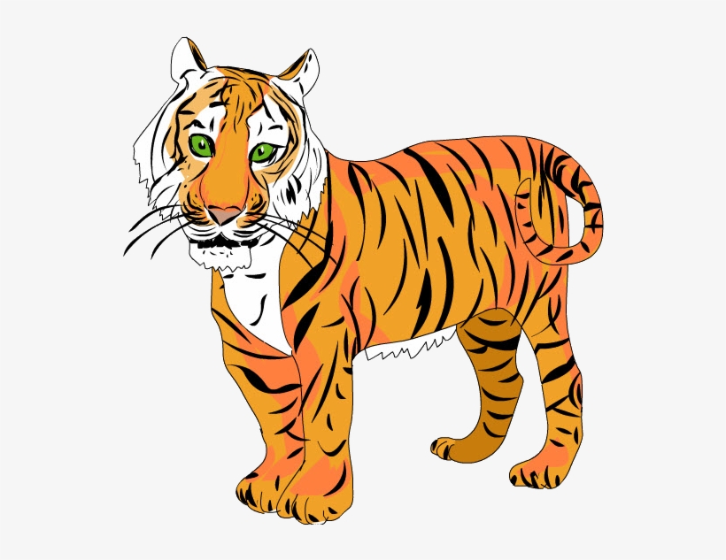 Tigre - Siberian Tiger, transparent png download