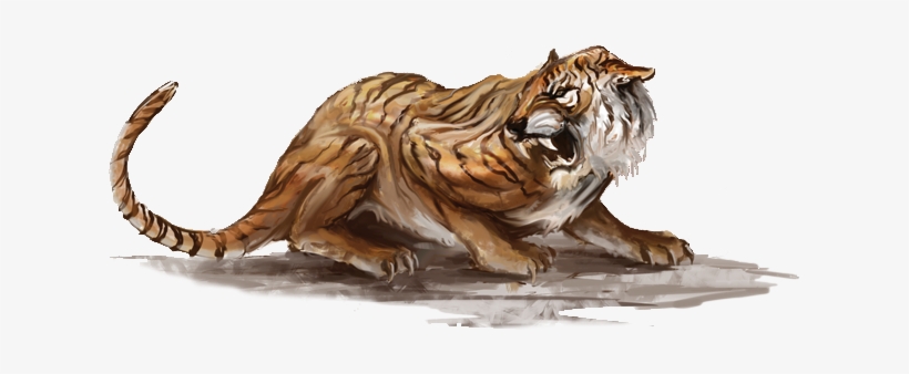 On Tigre Senche - Elder Scrolls Concept Art Png, transparent png download