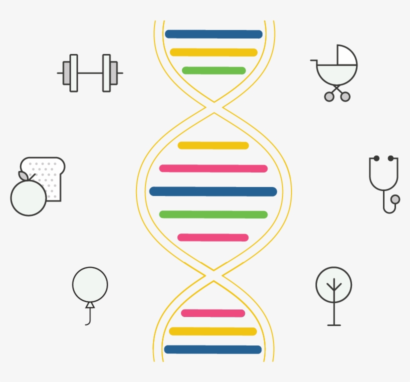 Helix, transparent png download