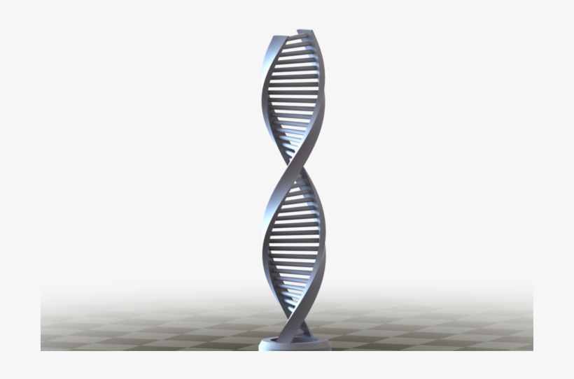 Image - Nucleic Acid Double Helix, transparent png download