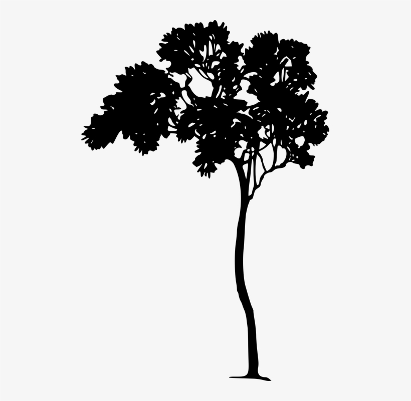 These Random Things Articles Are Designed As Quick - Black And White Tree Graphic, transparent png download