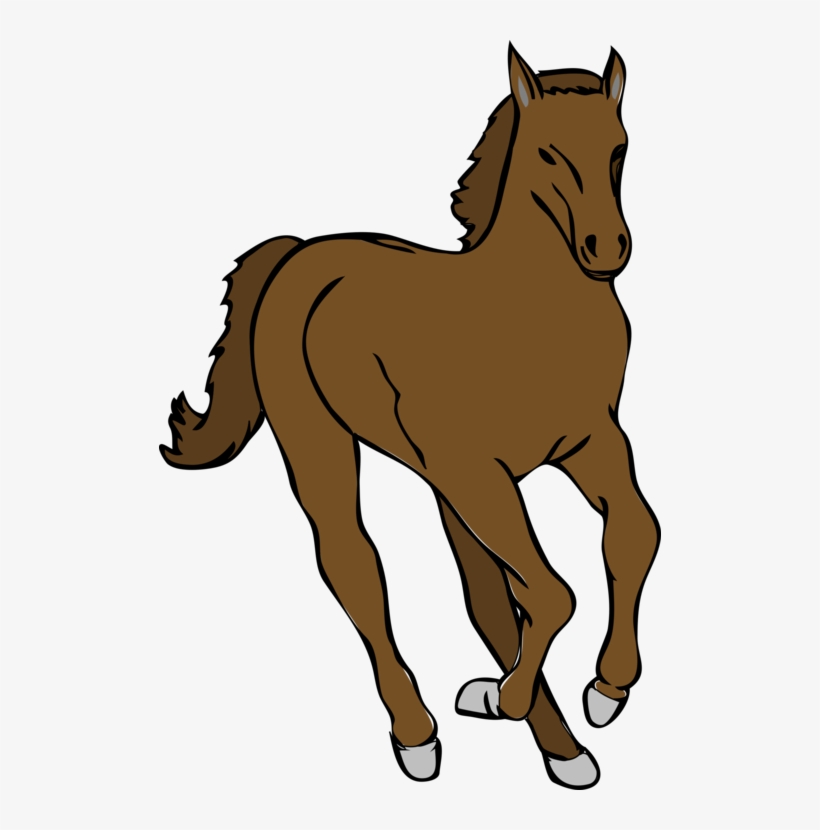 Colt Mustang Mare Foal Pony Horse Clipart Running Png Image Transparent Png Free Download On Seekpng