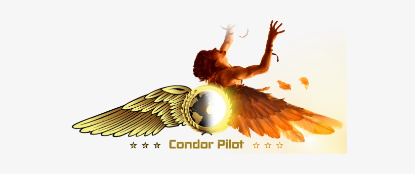 Icarus Melt His Wings Aiming For The Sun Pilots Could - Angel, transparent png download