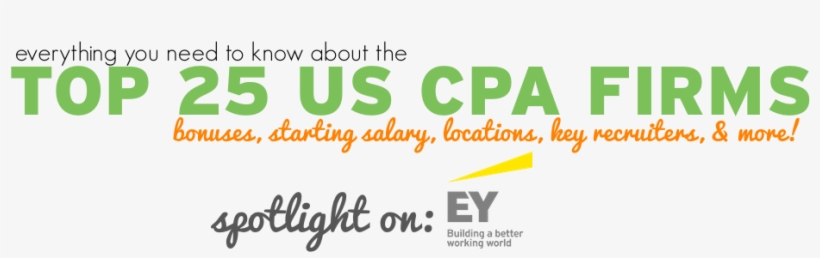 Everything You Need To Know About The Top 25 Cpa Firms - Ipsas Explained: A Summary Of Standards And Principles, transparent png download
