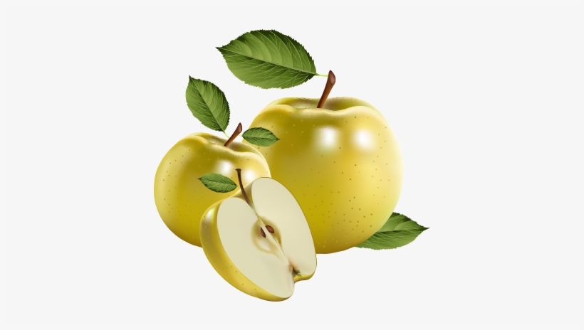 Yellow Apples Realistic Vector Free Download Png Graphic - Apple, transparent png download