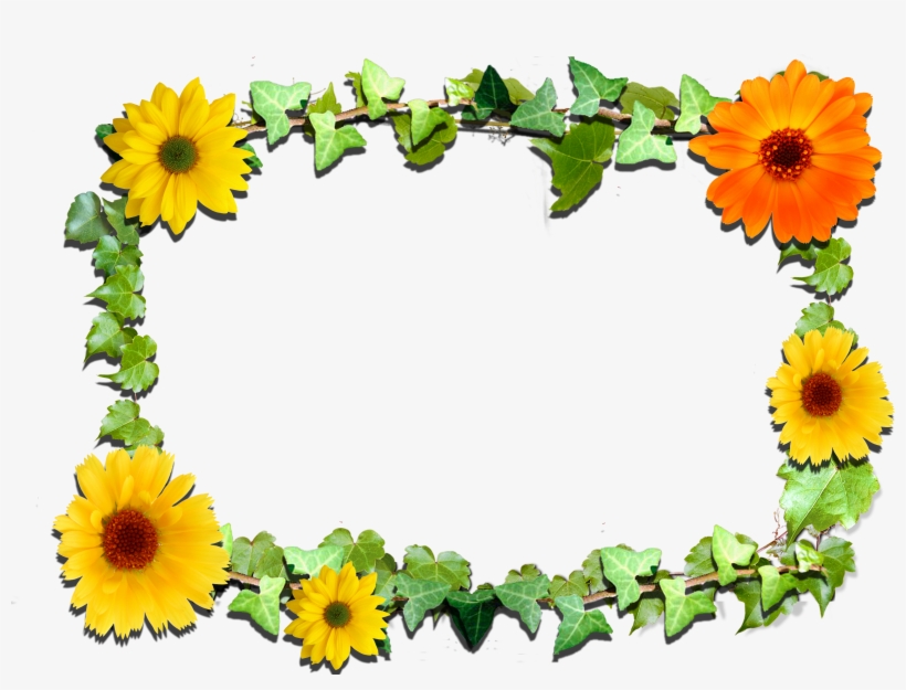 Sunflower Frames PNG Image | Transparent PNG Free Download on SeekPNG