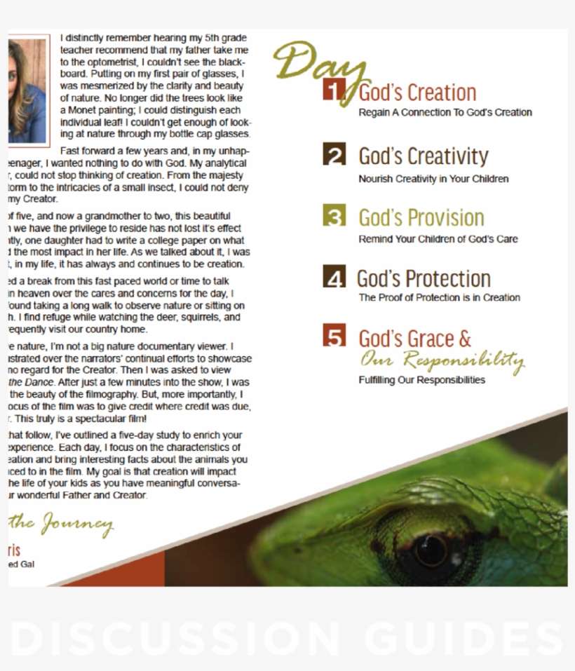 Riot Resourcesimages-02 - Portable Network Graphics, transparent png download