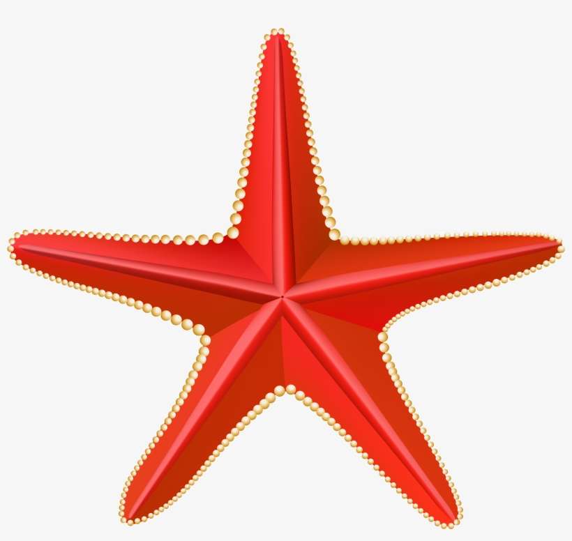 Red Starfish Png - Portable Network Graphics, transparent png download