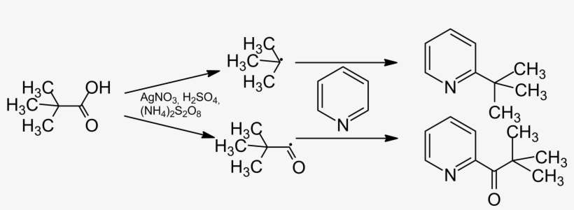 File - Minisci-mech - Minisci Alkylation, transparent png download