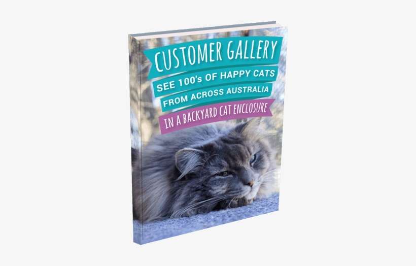 Download Our Customer Gallery Brochures - Cat, transparent png download