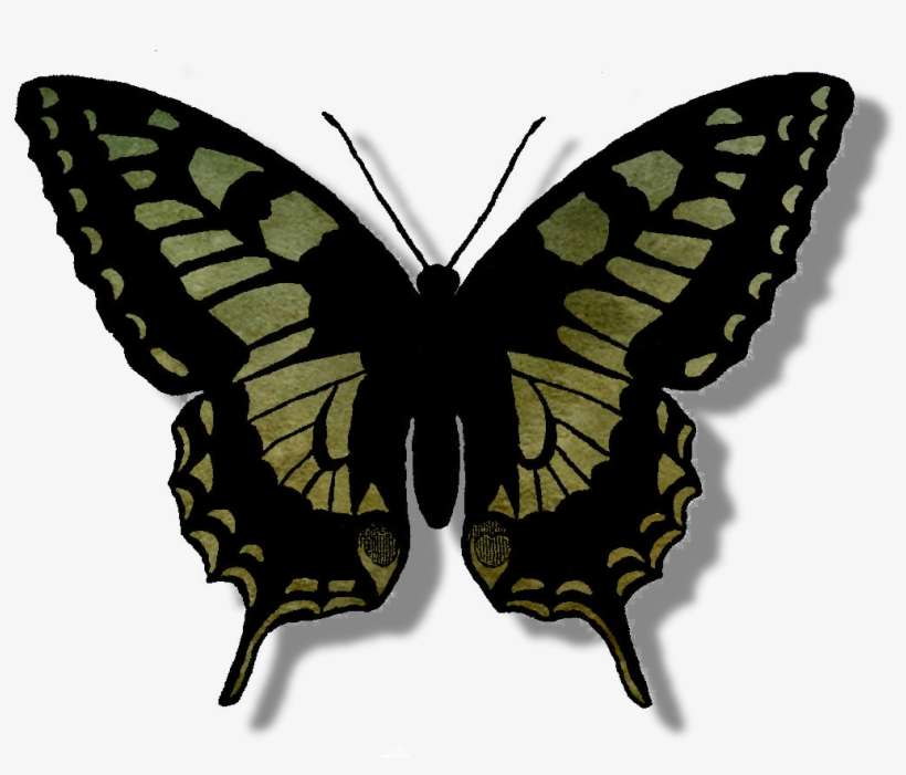 Butterfly Scrapbook Element - Butterfly, transparent png download