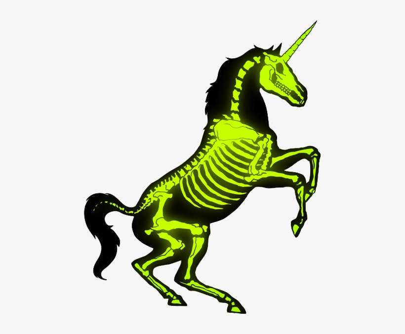 Download Unicorn Png Tumblr - Skeleton Of A Unicorn | Transparent PNG ...