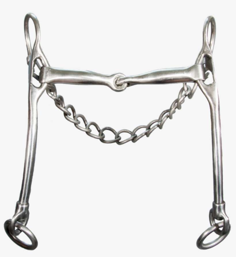 Titanium Curb Bit - Karlslund Titanium Curb Bit, transparent png download
