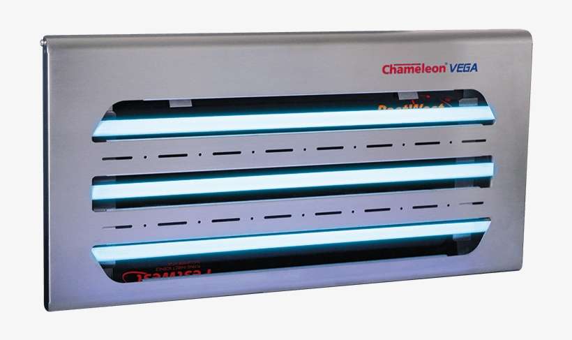 Chameleon Vega, transparent png download