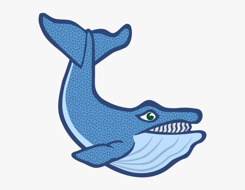 Colored Whale, transparent png download