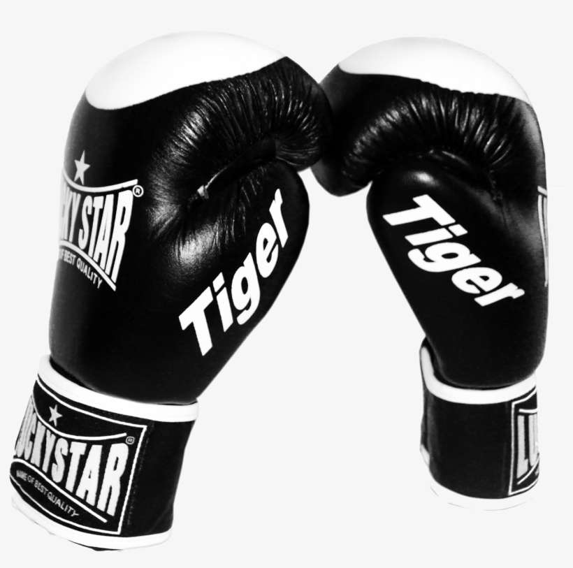 Lucky Star Boxing Gloves Leather “tiger” Black - Lucky Star Boxing, transparent png download