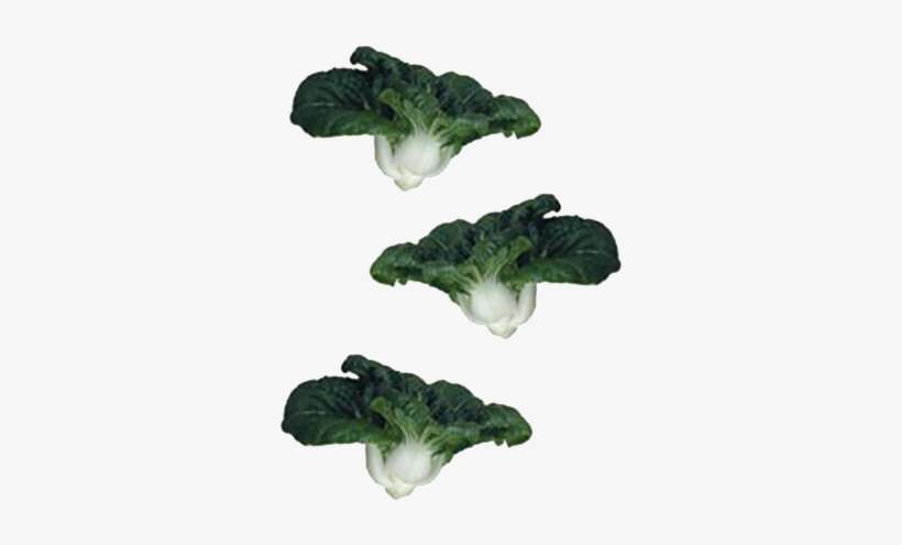 Commercial - Cruciferous Vegetables, transparent png download