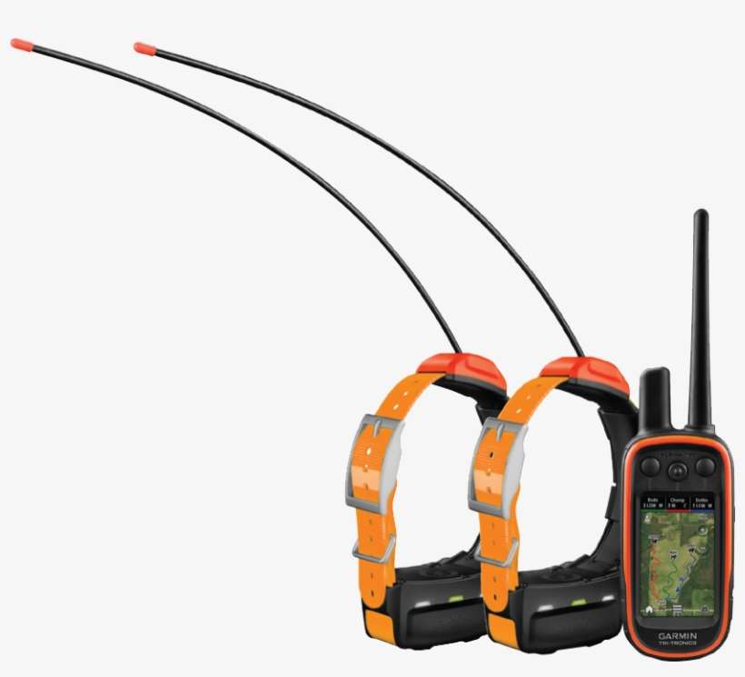 garmin tt15 collar