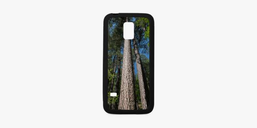 Tall Pine Trees Mt Lemmon Arizona Rubber Case For Samsung - Arizona, transparent png download