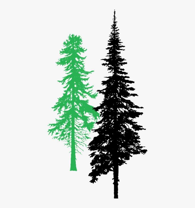 Mccullough Bros Is A Family Run Business Owned By Brothers - Artistic Weavers Lgcb2001-2020 Lodge Cabin Raccoon, transparent png download