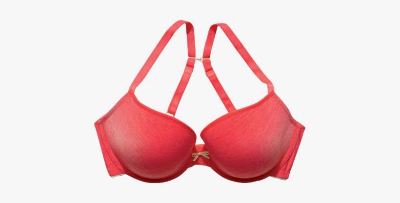 Cleo By Panache Koko Muse Plunge T-shirt Bra - Push-up, transparent png download