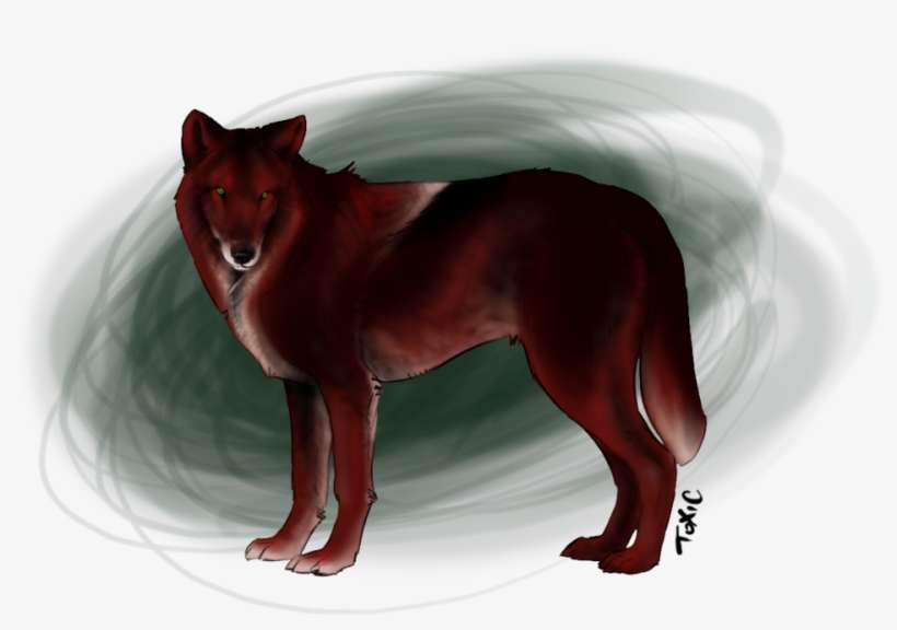 Redwolf - Red Fox, transparent png download