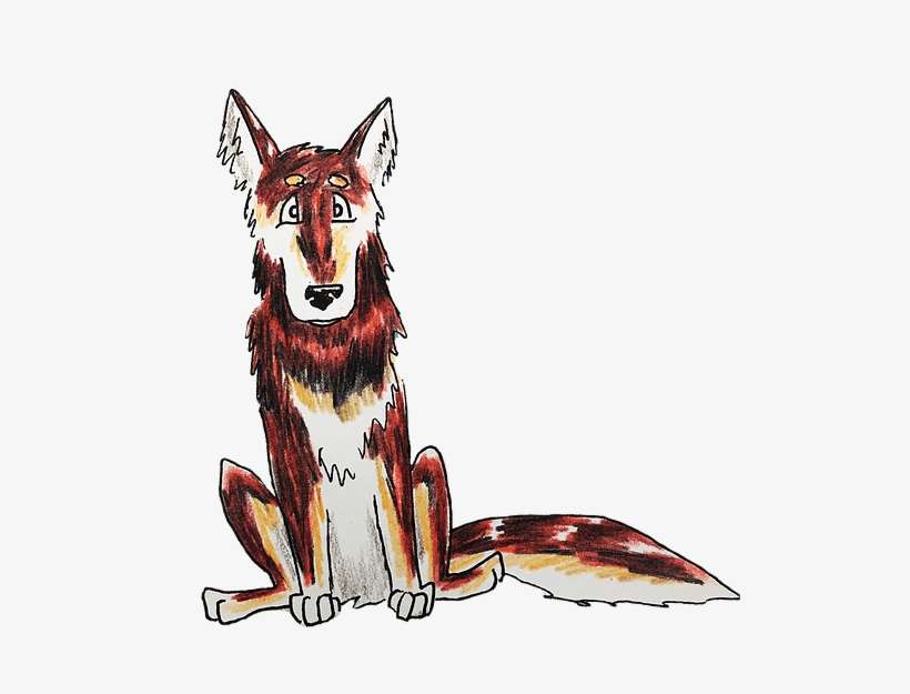 Are You A Red Wolf - Czechoslovakian Wolfdog, transparent png download