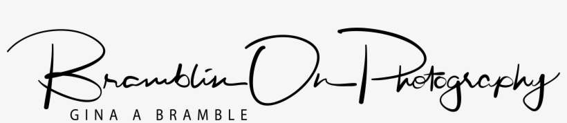 About Me - Calligraphy, transparent png download