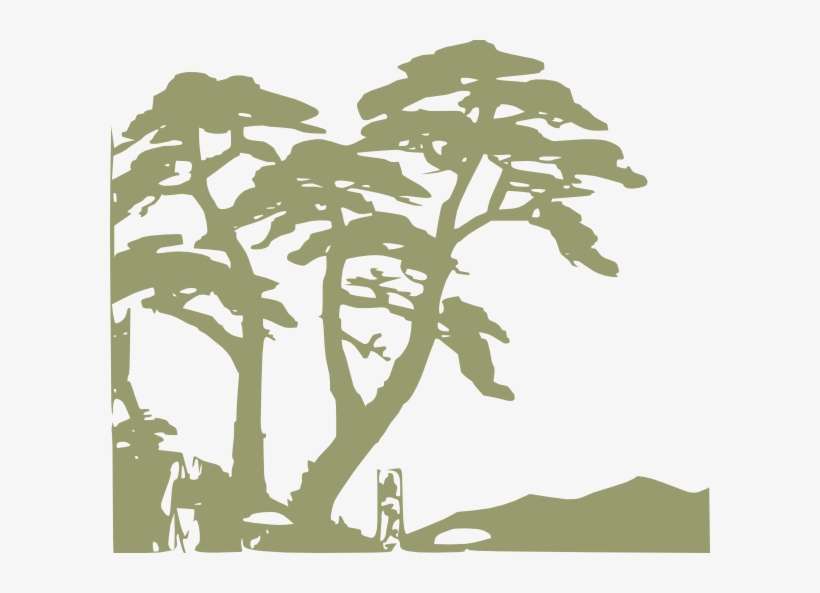 Rainforest Png, transparent png download