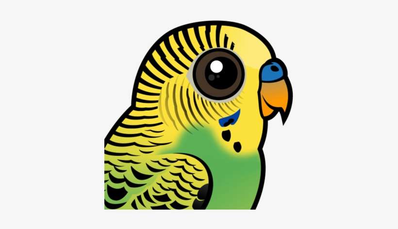 About The Budgerigar - Gusano En Tierra Dibujo, transparent png download