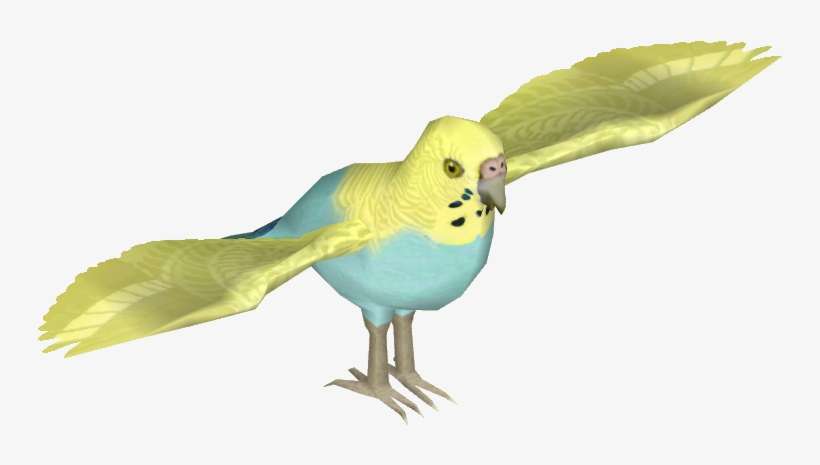 Budgie 08 - Parakeet, transparent png download