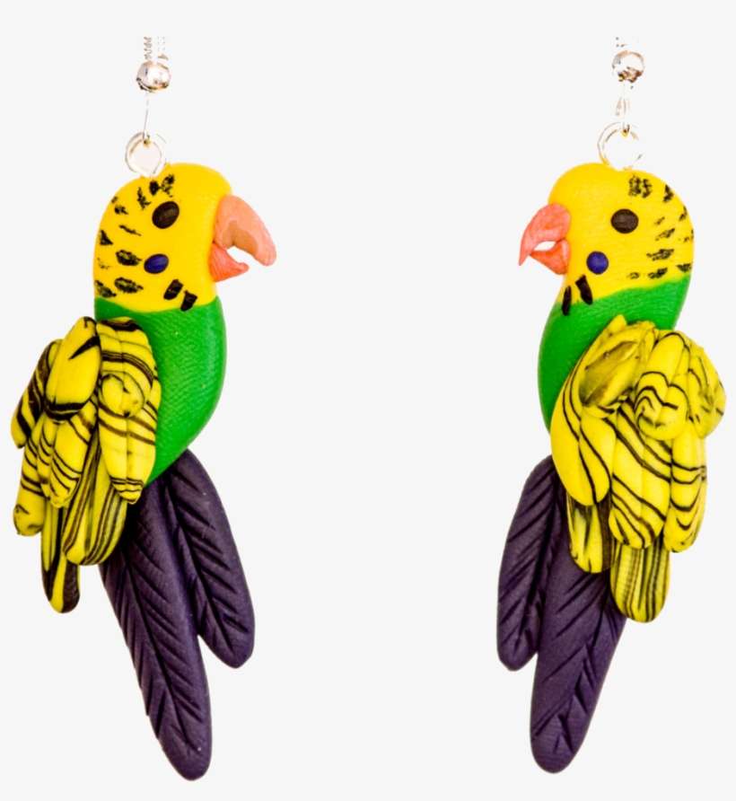 Handcrafted Budgie Earrings - Earrings, transparent png download