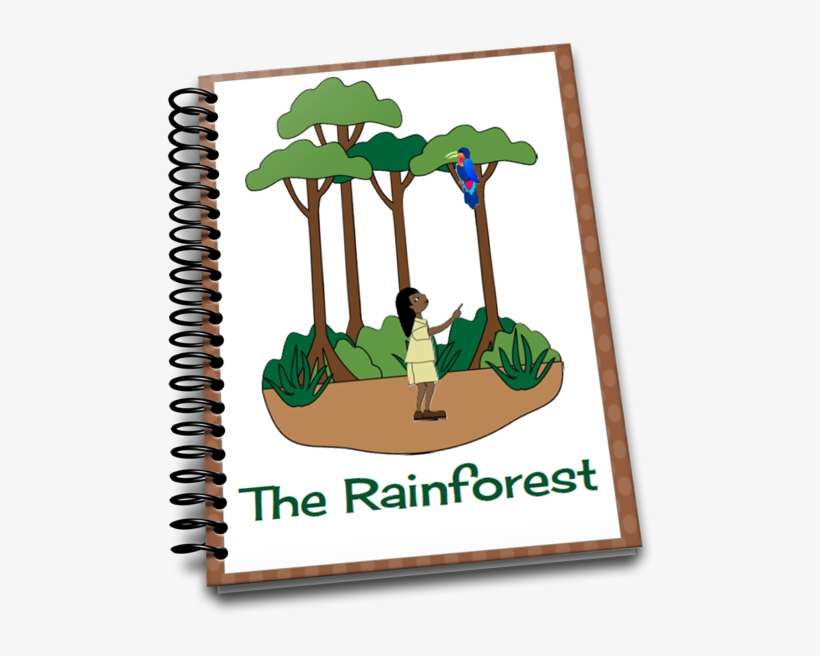 Teaching About The Rainforest - Teaching Preschoolers Rainforest, transparent png download