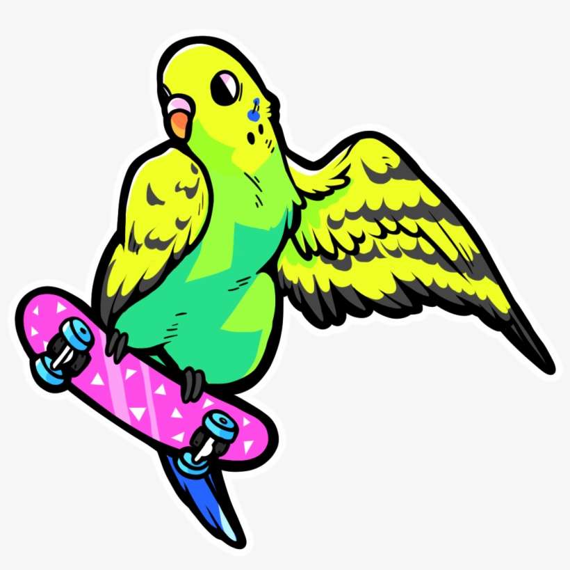 Rad Budgie - Budgie, transparent png download