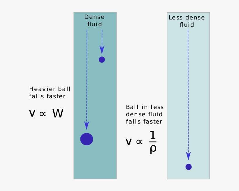 Aristotle's Laws Of Motion - Laws Dense Fluid Less Dense Fluid, transparent png download