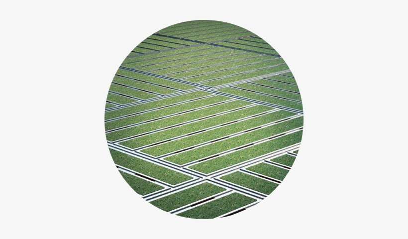 Cross Hatch - Floormations, Llc, transparent png download