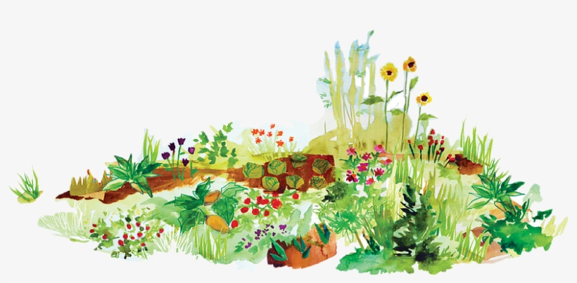 Minnesota Has A Long History Of Innovation In Education, - Wildflower Graphics, transparent png download