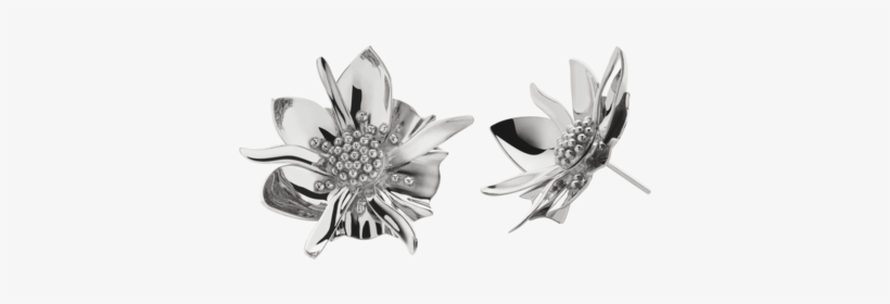 Wildflower Earrings Large - Women's Meadowlark Large Wildflower Stud Earrings, transparent png download
