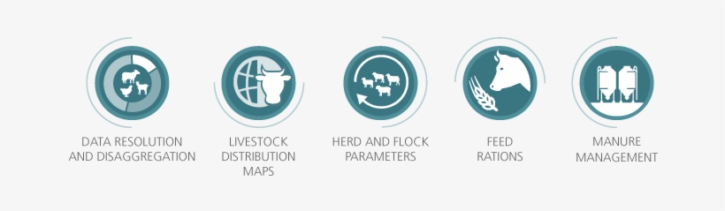 Gleam Data Collection Involves A Combination Of Research, - Management, transparent png download