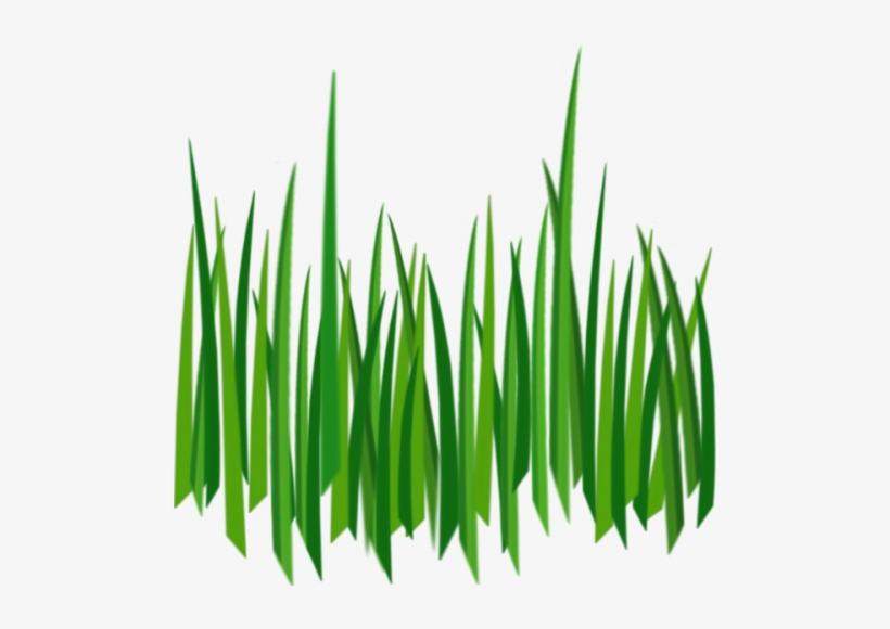 Grass Texture Clipart Lawn Clip Art - Grass Texture, transparent png download