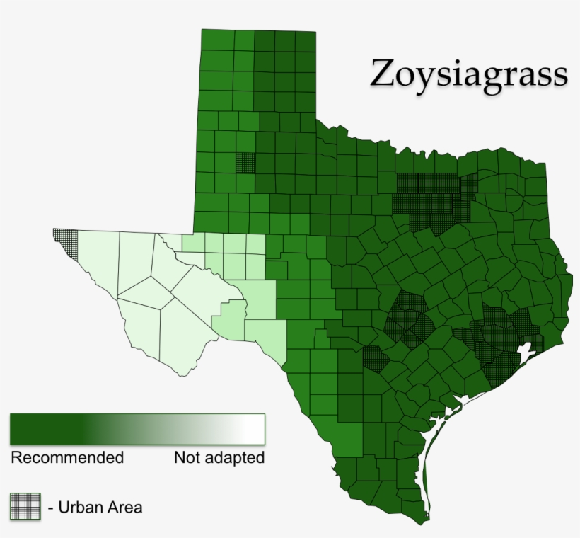 Zoysiagrass Areas Of Adaptation - Capital Of Texas On Map, transparent png download