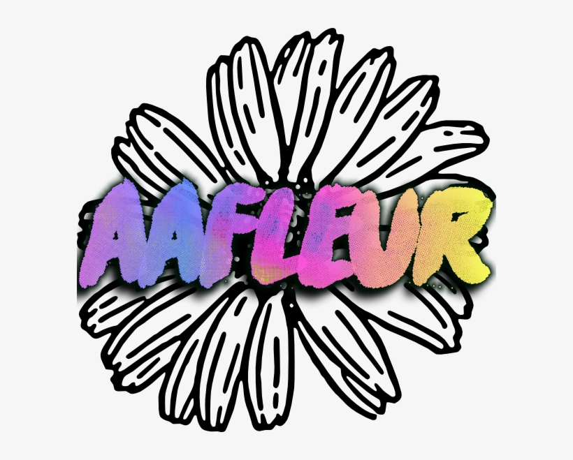 Home - Gerber Daisy Line Art, transparent png download