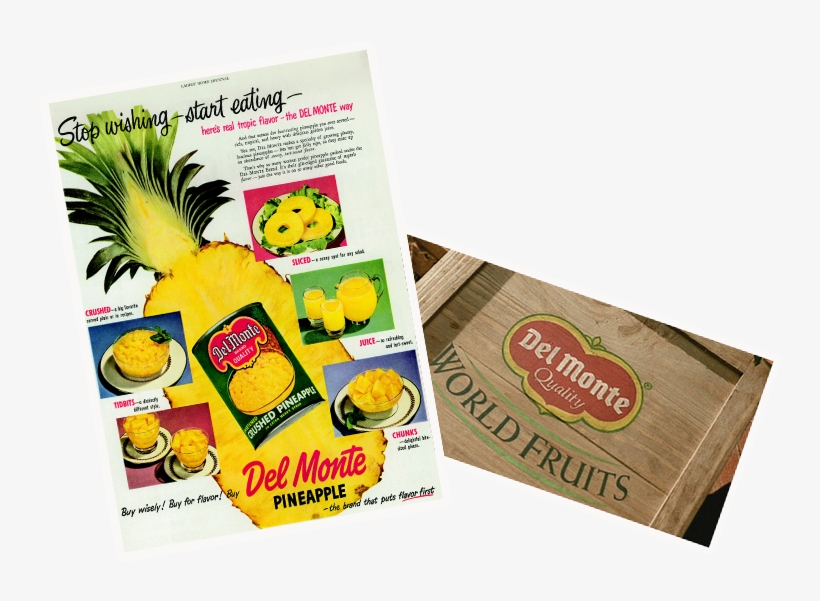 History Pics 1909 - Flyer, transparent png download